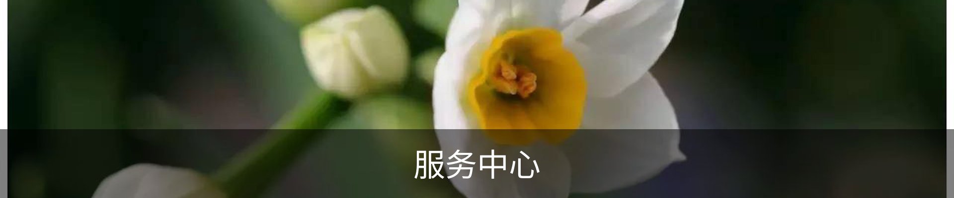 服务中心